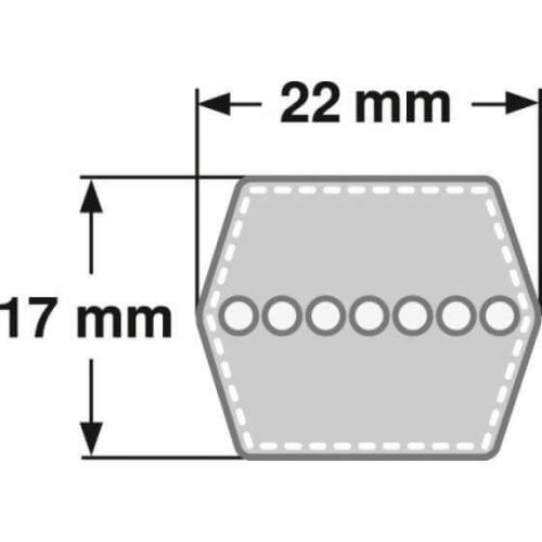 Doppelkeilriemen CC 105 - HCC 2774 mm